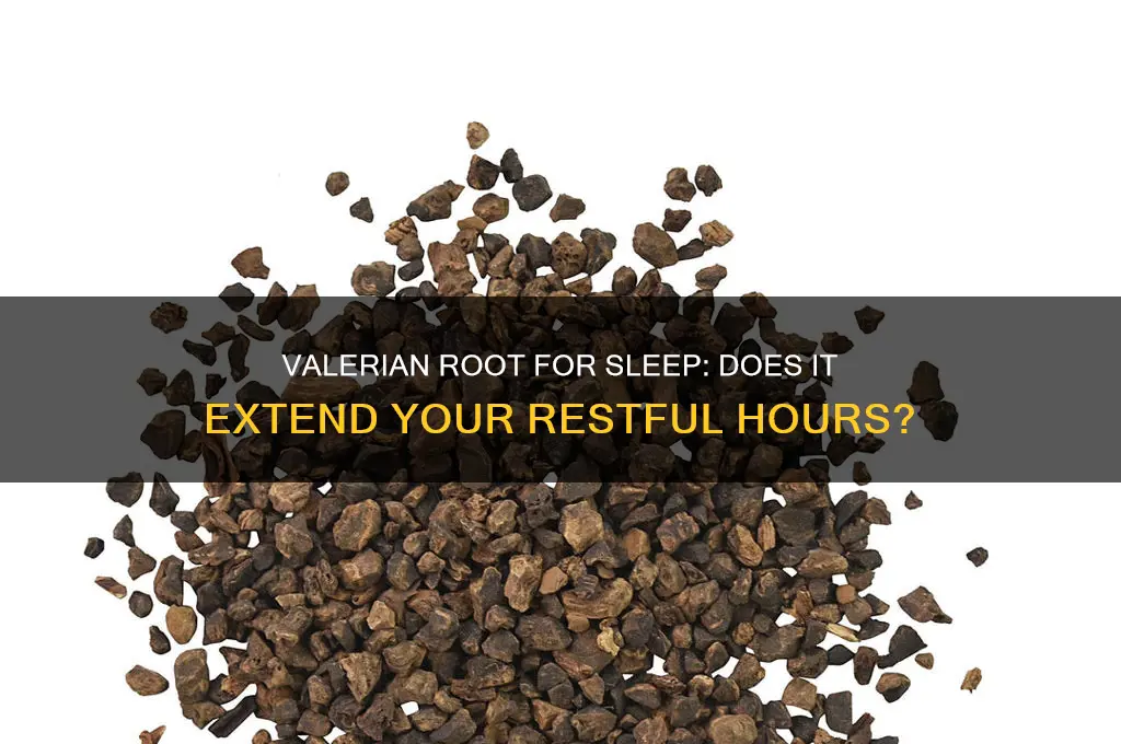 does valerian root help sleep longer]